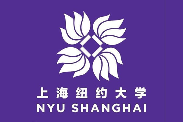 上海纽约大学内部系统